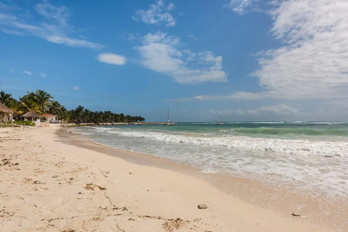 Lafitte Experience Tranquility And Comfort Accommodation, Near Main Attractions In Riviera Maya דירה