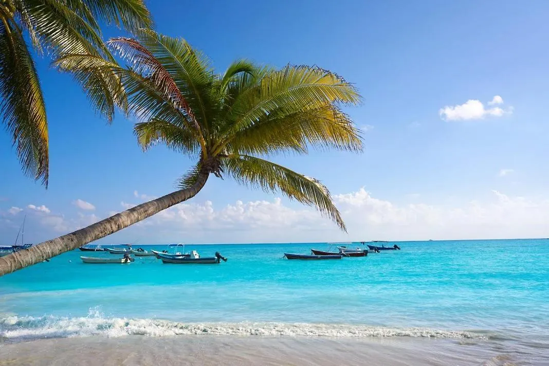 Lafitte Experience Tranquility And Comfort Accommodation, Near Main Attractions In Riviera Maya מקסיקו