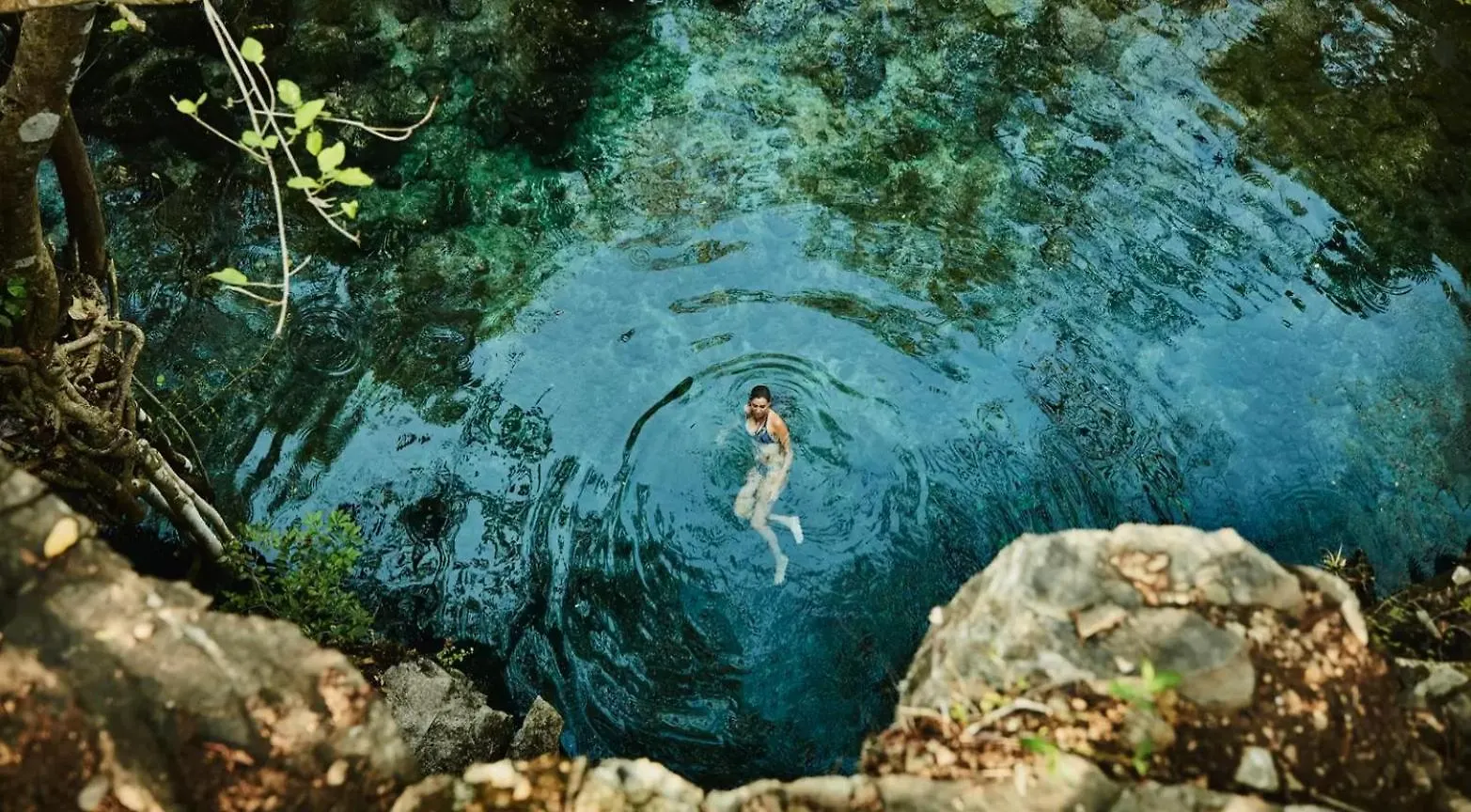 Lafitte Experience Tranquility And Comfort Accommodation, Near Main Attractions In Riviera Maya